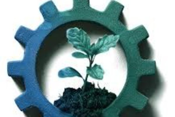 Sustainable Practices in LSR Injection Molding Manufacturing